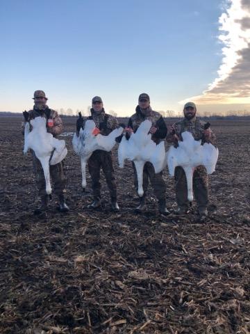 Four men holding dead geese in a field.