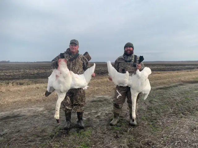 Two men holding dead geese in their hands.